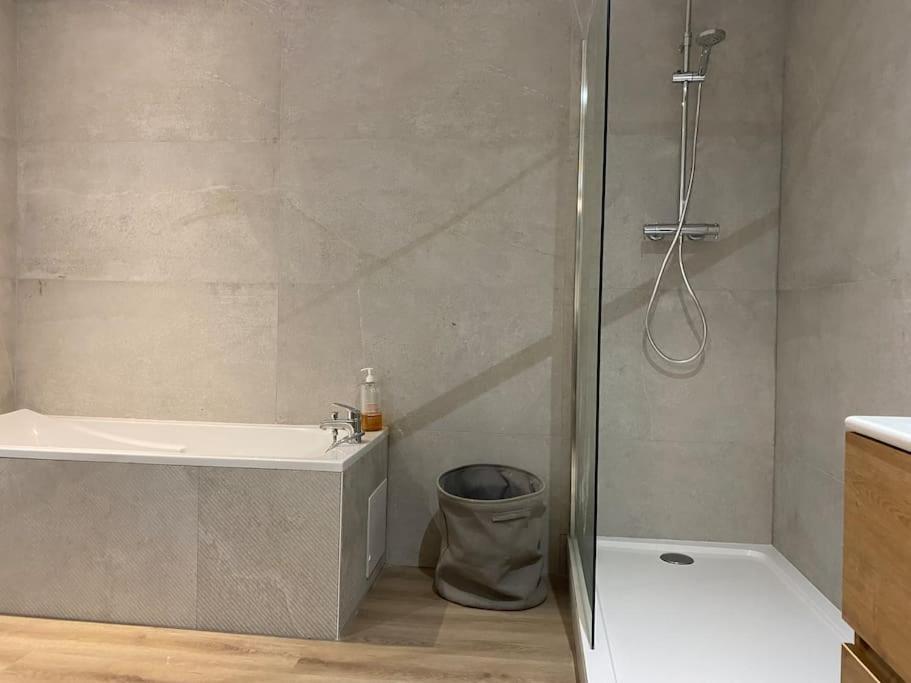 Maison Entiere 6 Personnes Jardin Terrasses Et Garage 南锡 外观 照片